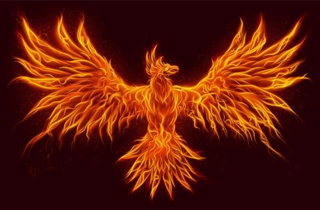 Phoenix Rising