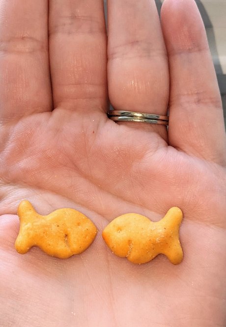 Banana Ampamp Milkshakes