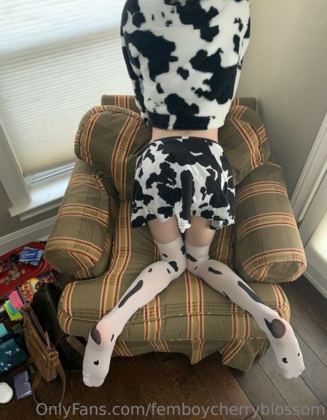 Femboycherryblossom