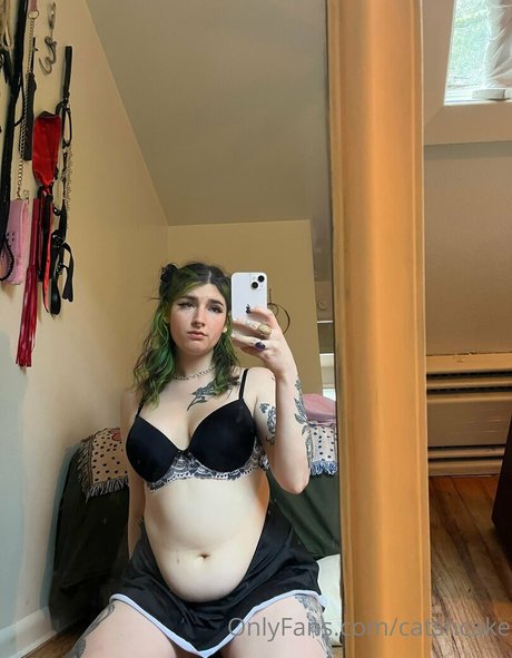 Catsncake