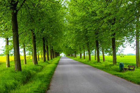 Luisasfantasyjourney