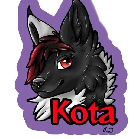 Kota