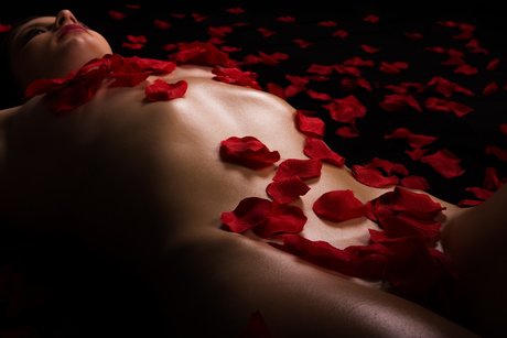 Mrs Bella Blow Ampamp Mr Paradise Long