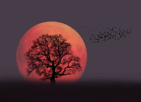 Your Favourite Pagan