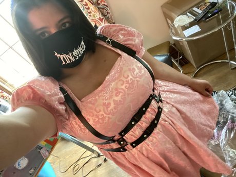 Persephone Northwest