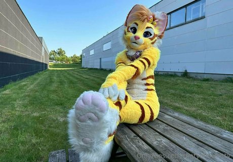 Thatyellowkitty