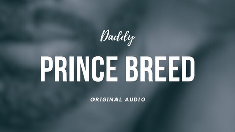 Daddy Prince Breed