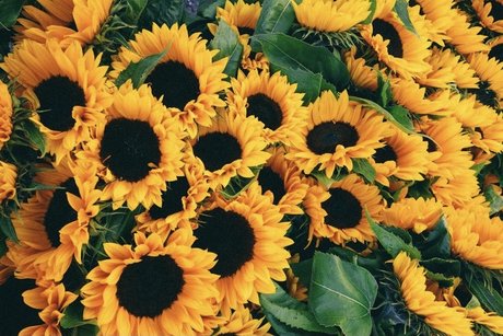 Sammy  nude leaked OnlyFans photo