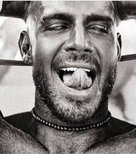 Purosangue Lucas Vip