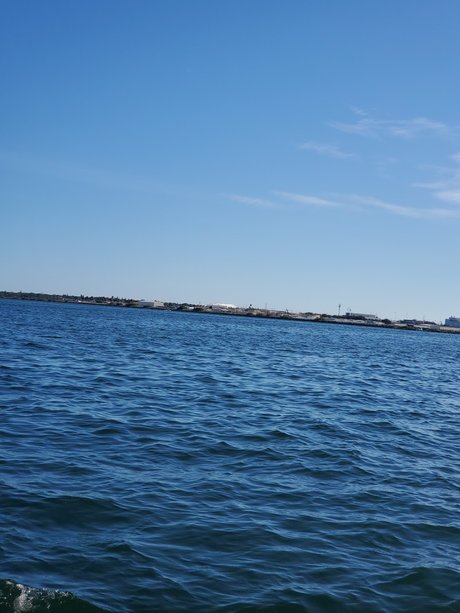 Bill That Guy And Oh My