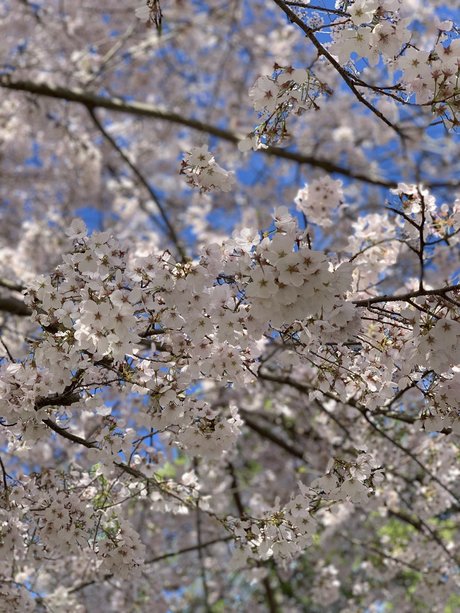 Queen Feet  nude leaked OnlyFans photo