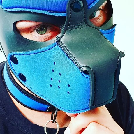 Sunshine Live Edition