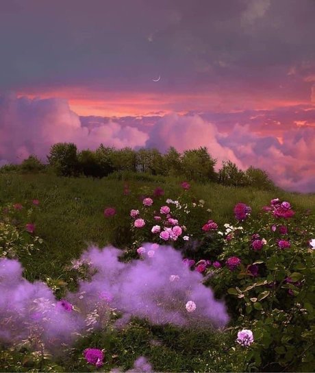 Rosiebooty  nude leaked OnlyFans photo