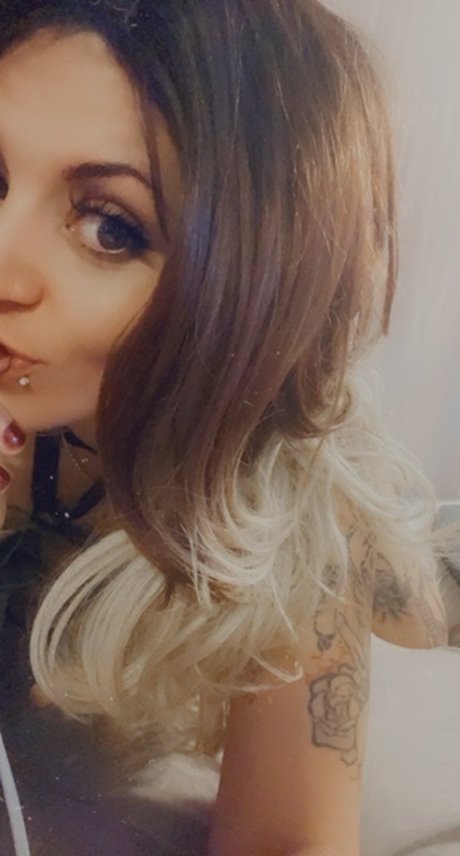 Sarah Lee Cheesecake