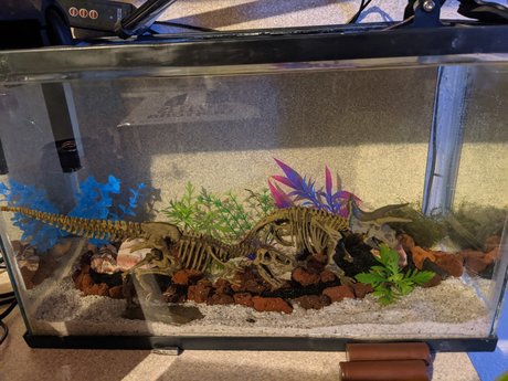 Ben  nude leaked OnlyFans photo