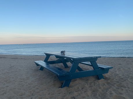 Xavier Nguyen  nude leaked OnlyFans photo