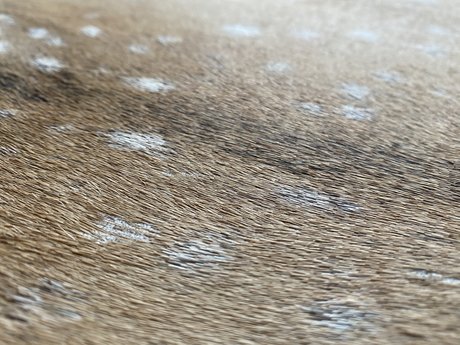 Matteo  nude leaked OnlyFans photo