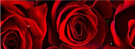 Conny S  nude leaked OnlyFans photo