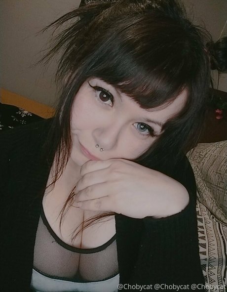 Chobycat