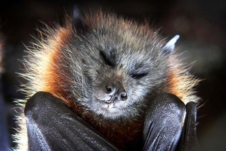 Thicckit  nude leaked OnlyFans photo