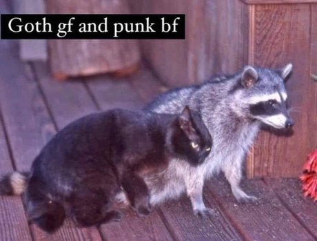 Tommy And Aynnnje Ftw