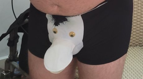 Pato Esclerozado Vs Presuntinho