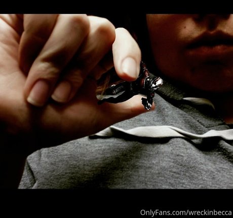 Wreckinbecca