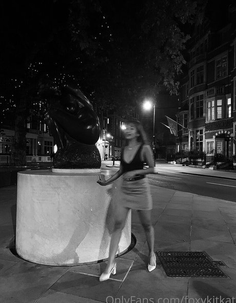Foxykitkat
