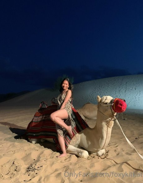 Foxykitkat