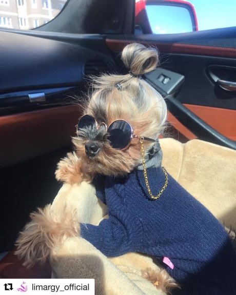 Black Marilyn Monroe