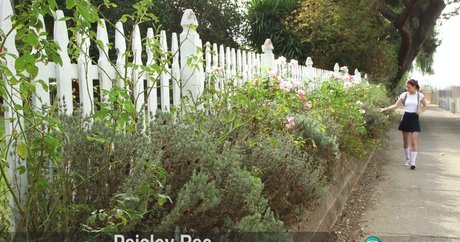 Paisley Rae  nude leaked OnlyFans photo