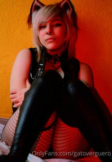 Gatoverguero
