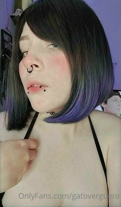 Gatoverguero
