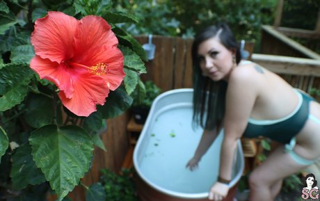 Mimiflowers Mimiflowersss