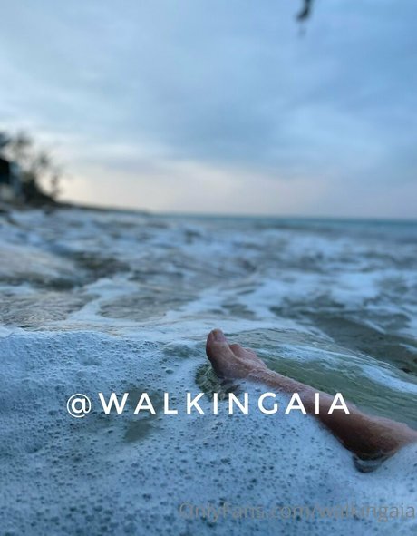 Walkingaia