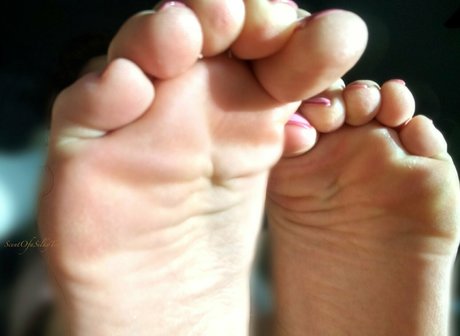 Scentofasilkytoe