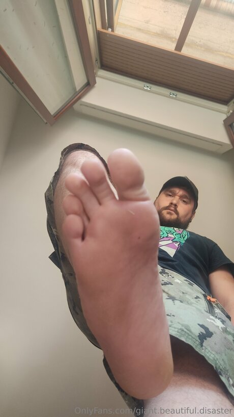 Giant Beautiful Disaster