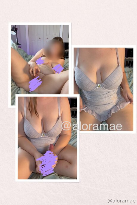 Aloramaescontentlibrary