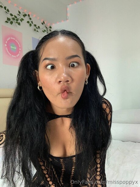 Misspoppyx