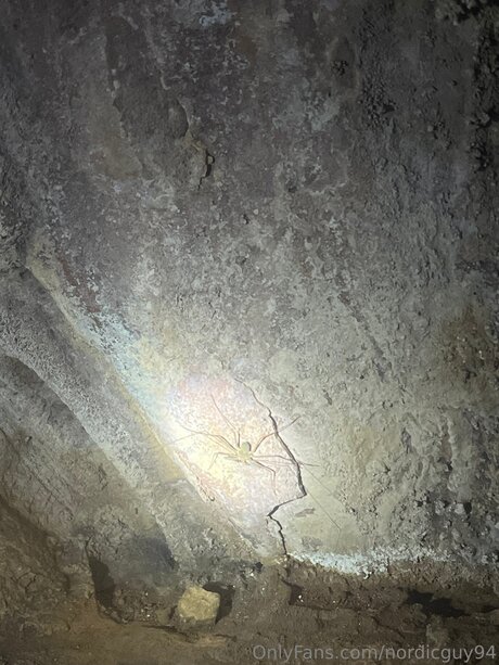 Nordicguy94