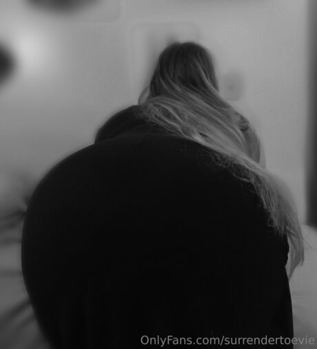 Surrendertoevie