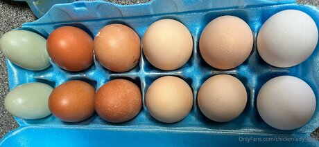 Chickenlady Eggs