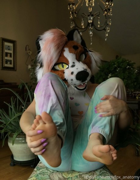 Foxanatomy