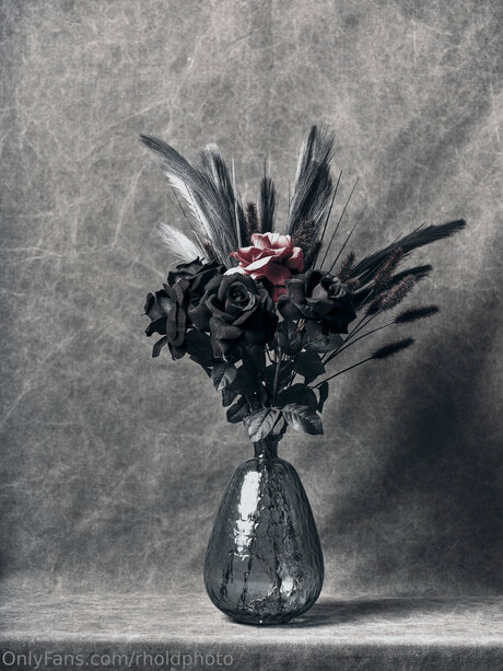 Rholdphoto