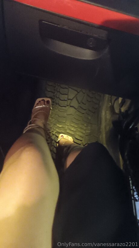 Vanessarazo2201