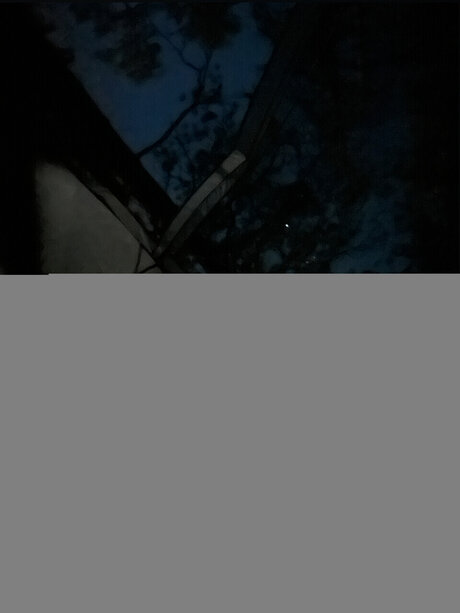 Ren Amplt3  nude leaked OnlyFans photo