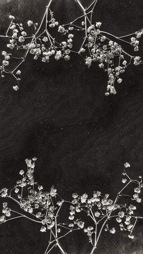 Cendre   nude leaked OnlyFans photo