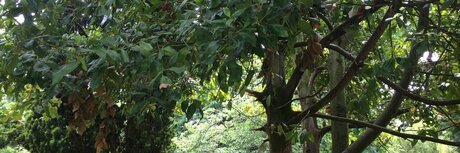 Curts Acting Naughty