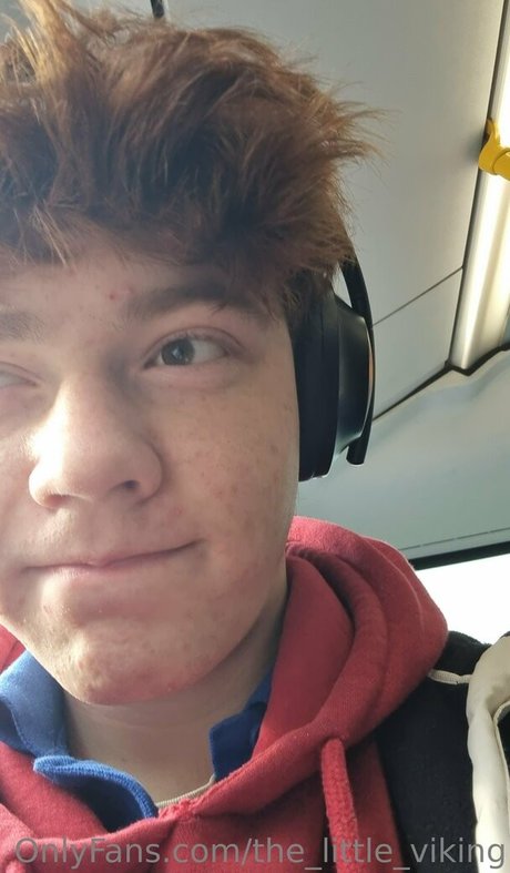 Thelittleviking