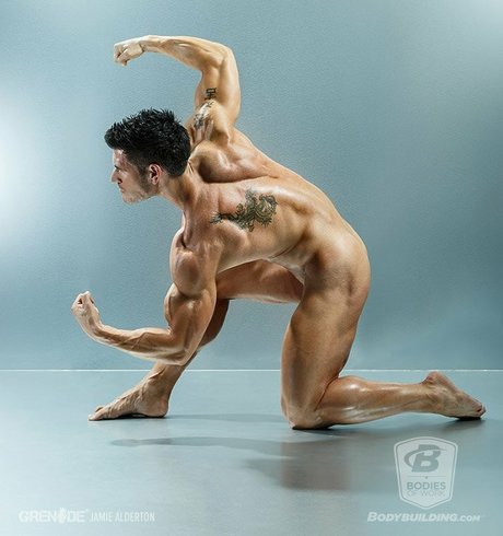 Bodybuildingcoms Bodieswork